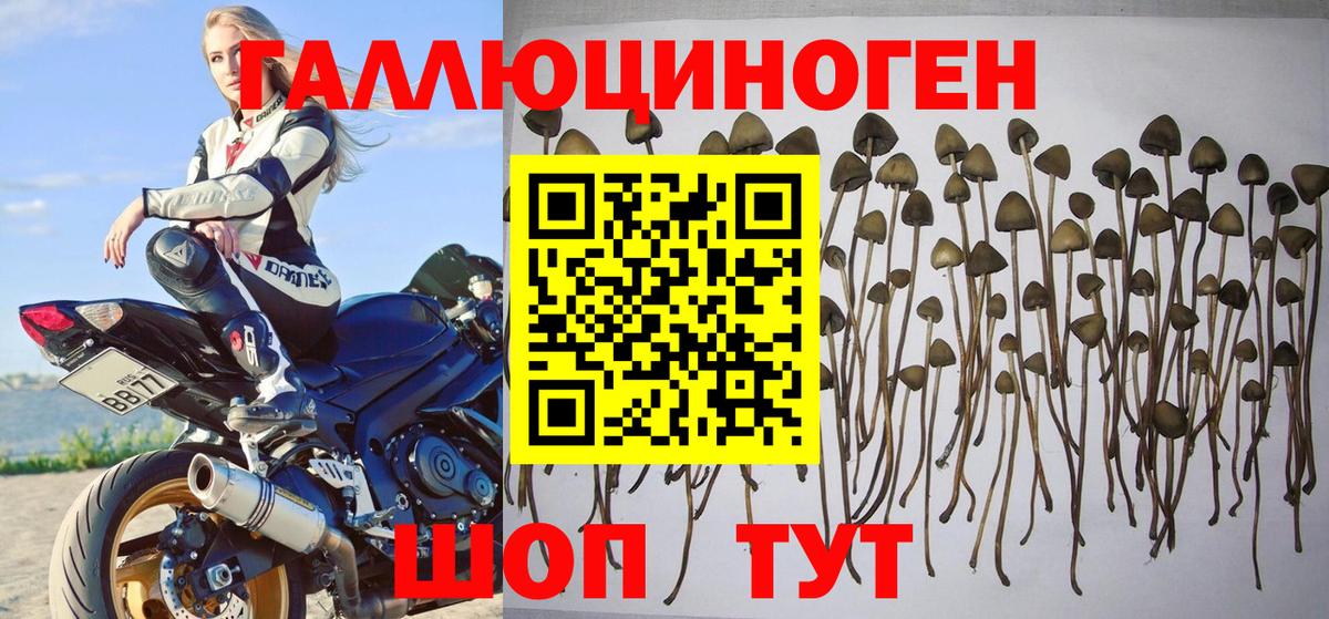 Галлюциногенные грибы ЛСД Донецк