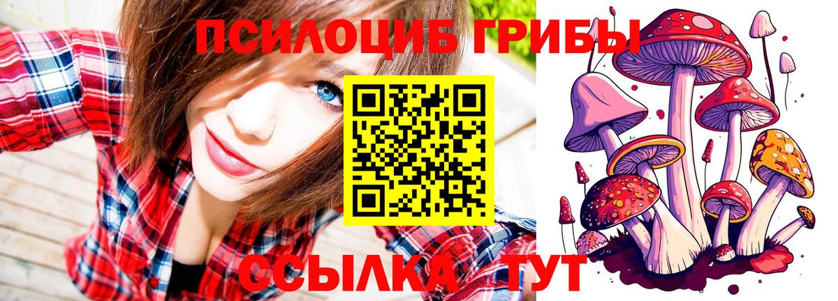 Донецк  Галлюциногенные грибы Psilocybine cubensis  Вход с VPN  Галлюциногенные грибы GOLDEN TEACHER 